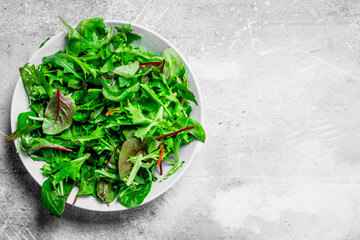 Fototapeta na wymiar Healthy salad. Arugula salad in a bowl.