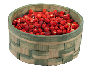 fresh wild strawberries