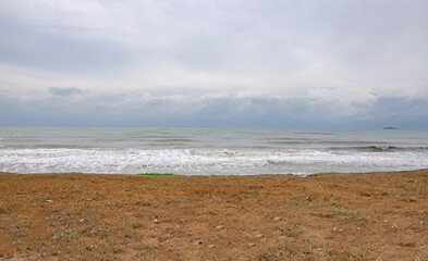 Meadows by the beach and the sea during the storm
