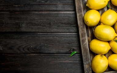 Ripe lemons in the tray.