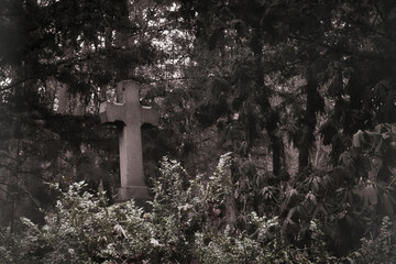 Südwestkirchhof - Friedhof - Stahnsdorf	