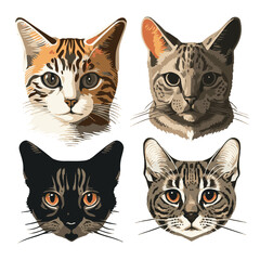 Realistic Cat Faces Vector Set © Itchyhands