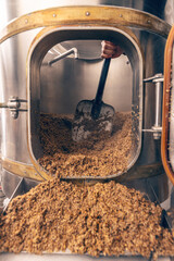 Process of brewing grain of barley