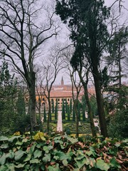 Obraz premium royal garden