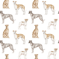 Whippet seamless pattern