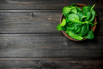 Fresh spinach in the bowl.