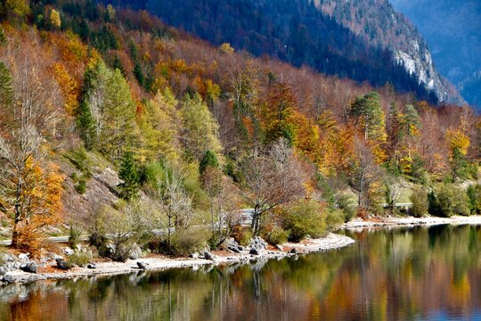 Wald in Herbstfarben am See