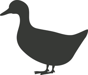 Fototapeta na wymiar Duck domestic fowl icon