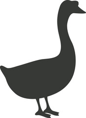 Goose domestic fowl icon