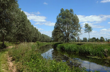 Fototapeta premium A beautiful scenic view of the River Chelmer on a summer's day in Essex. 