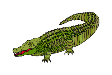 Crocodile, alligator. Vector stock illustration eps10.