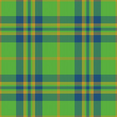 Texture fabric plaid. Check seamless textile. Background pattern tartan vector.