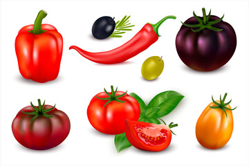 Still life of realistic 3d vegetables. Vector fresh vegetables: bell pepper, fresh dark red and yellow tomatoes, red chili peppers, olives, rosemary and basil, isolated on white background. Package