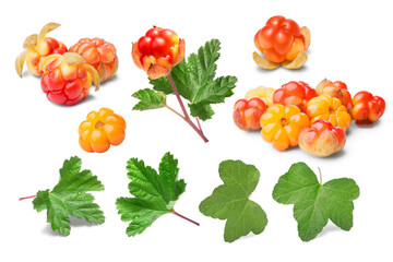 Set of cloudberries (Rubus Chamaemorus) and leaves isolated png - obrazy, fototapety, plakaty