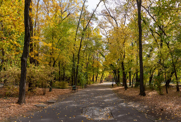 Herastrau Park in the Fall