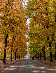 Herastrau Park in the Fall