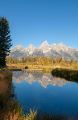 Obraz premium Scenic Reflection Landscape in Grand Teton National Park in Autumn