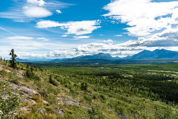 Fototapeta premium Views over the are outside of Whitehorse, Yukon Territory, off the Alaska Highway in mid-summer with beautiful blue sky and clouds. 