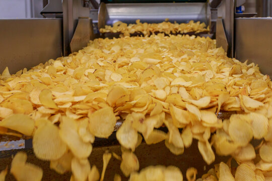 Closeup view of golden chips coming from fryer macnine.