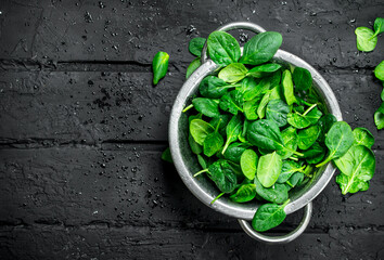 Fresh spinach leaves in a saucepan.