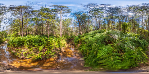 Spherical panoramic photograph of Lapstone Creek in the forest in the Blue Mountains in Australia