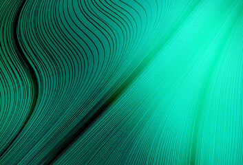 Light Green vector glossy abstract layout.