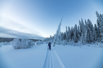 One person skiing on cross country ski trails during winter time on beautiful blue sky day. 