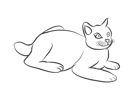 Ilustration of a cat