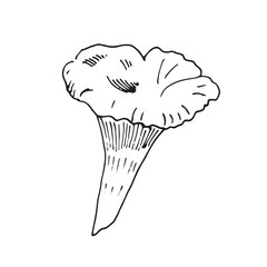 Mushroom vector fall clip art set. Autumn mood isolated line art icon collection, print, banner, poster, greeting card design element