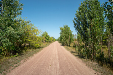 Fototapeta na wymiar A dirt road in Eastern Europe in an abandoned area overgrown with trees and poplars on a cloudless summer sunny day. Landscape.