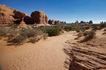  On a Trail in Arches