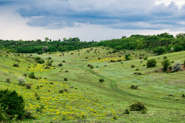 Fototapeta na wymiar landscape with fields and blue sky