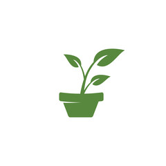 Plant Green Nature Vector, plant growth with brown pot vector