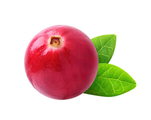 One cranberry fruit cut out