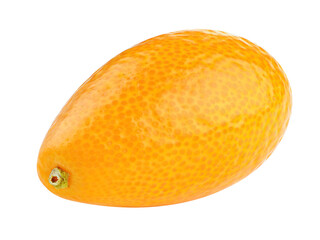 One kumquat fruit cut out