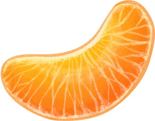 slice of tangerine fruit illustration