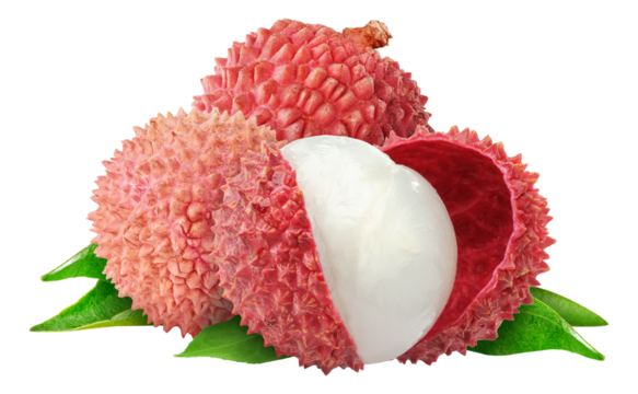 Fresh lychees cut out