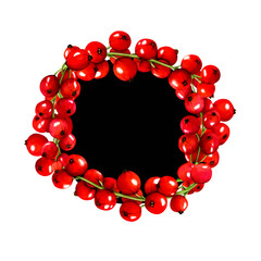 Watercolor frame of red ripe currant berries isolated on black background. Hand drawn botanical illustration. Clip art berry branches frame. Viva Magenta color.