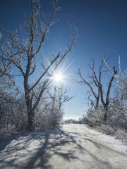 A picturesque road through the winter mountain hills and Mount Elbrus in the background, between trees covered with snow and ice, on a sunny winter day