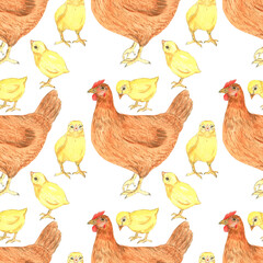 chiken pattern. Watercolor cute animal.  Watercolor cute bird. Hand painting  isolated white background. birds. Chiken pattern watercolor.