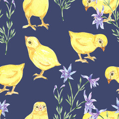 Chiken pattern watercolor. Watercolor cute animal.  Watercolor cute bird. Hand painting  isolated white background. birds. 