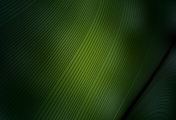 Dark Green vector pattern with lines.