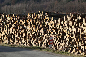Skład drewna opałowego przygotowane na mroźną zimę. 