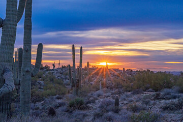 Setting Sun In The Arizona Desert 