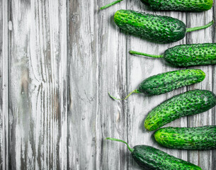 Ripe fresh cucumbers.