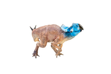 Protoceratops  , dinosaur on  isolated background