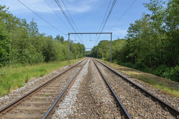 Naklejka premium horison travel perspective landscape train railway tracks wires blue sky trees