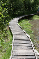 Obraz premium park old wooden bridge over pond water trees shadow summer landscape perspective