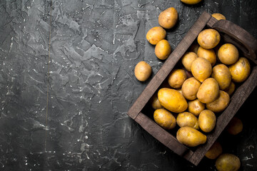 Yellow potatoes in the box.