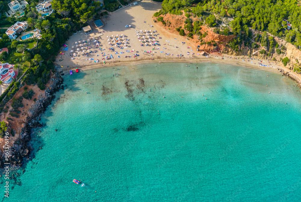 Wall mural cala llenya, ibiza with turquoise water in balearic